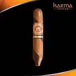 Arturo Fuente Hemingway Between the Lines 4 1/2 x 54