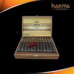 Ashton VSG Robusto