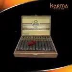 Ashton VSG Robusto