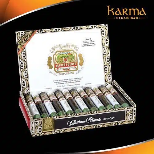 Arturo Fuente Natural Chateau Fuente King T 7 x 49