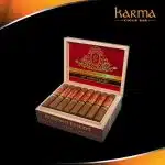 Perdomo 10th Anniversary Sungrown Robusto