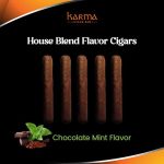 HB Chocolate Mint