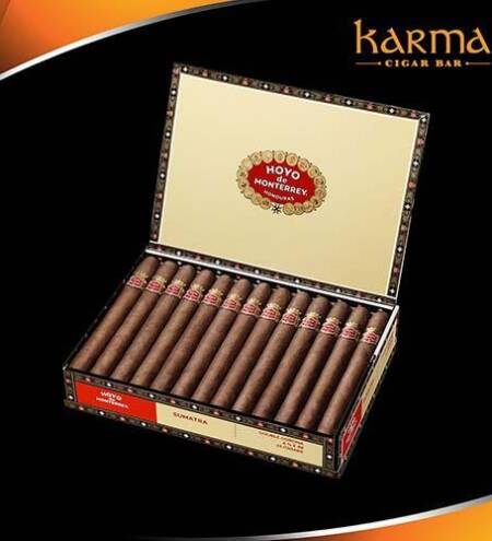 Hoyo de Monterrey La Amistad Dark Sumatra Media Noche