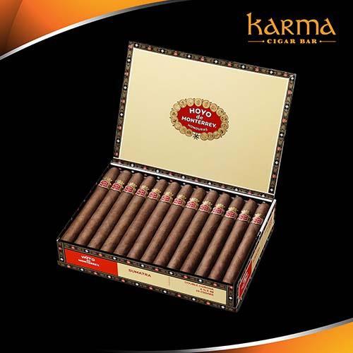 Hoyo de Monterrey La Amistad Dark Sumatra Media Noche