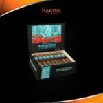Drew Estate Nica Rustica Adobe Robusto