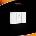 Davidoff Winston Churchill Robusto