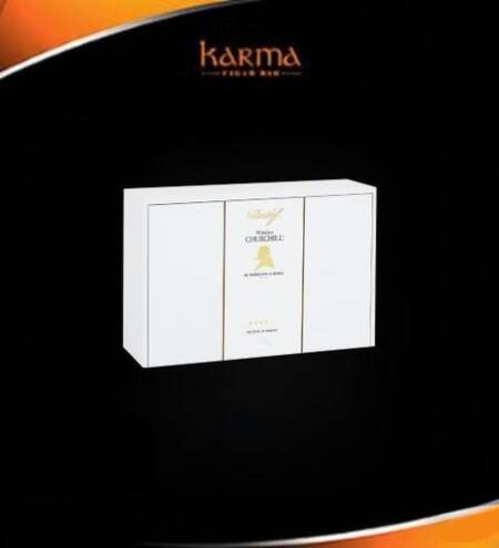 Davidoff Winston Churchill Robusto