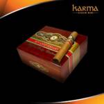 Perdomo 20th Anniversary E656 Maduro