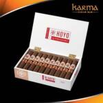 Hoyo de Monterrey La Amistad Gold Robusto
