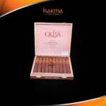 Oliva Serie V Melanio Churchill